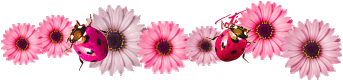 2035212a4ew5iua14.png