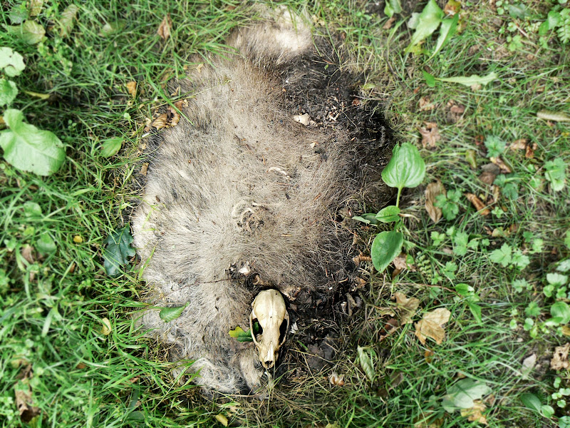 NAMELESS PHOTOGRAPHS I'm a rabbit in your headlights.