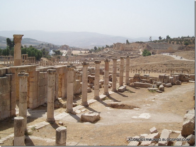 PA048854 PA048854