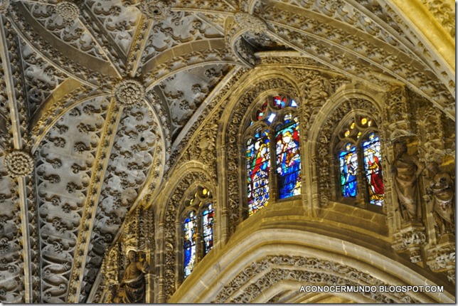 DSC_0031 DSC_0031