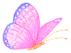 r5.png