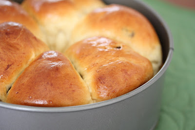 close-up of baked soft and fluffy raisin rolls in a baking pan