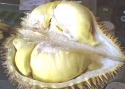 durian2