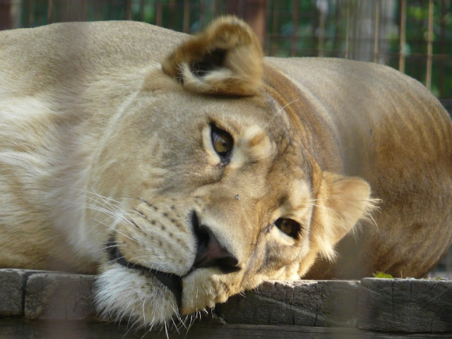 P1080352.JPG