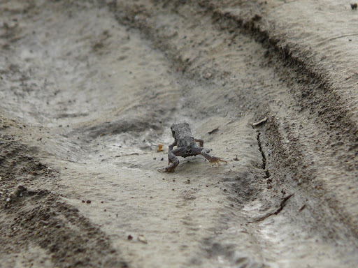 P1100934.JPG