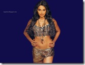 Bipasha-Basu-Wallpapers-8
