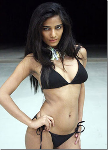 The Nude's Pictures Poonam Pandey Hot Wallpapers Poonam Pandey Hot
