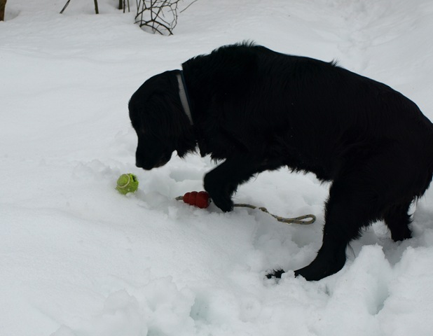 [Påske 2010 019[3].jpg]