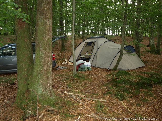 [Sverige 015[6].jpg]