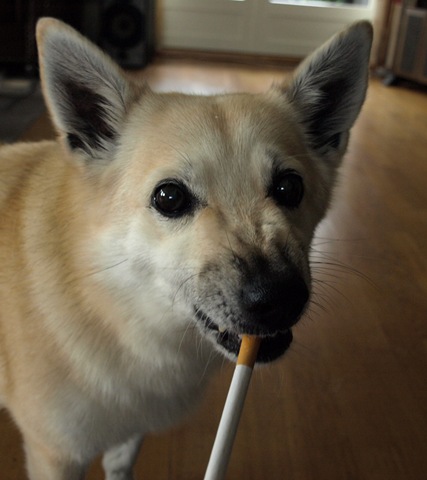 [001[6].jpg]