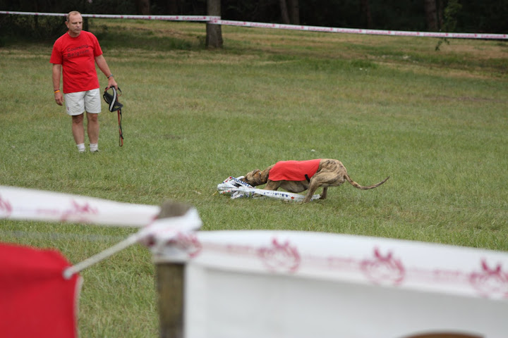 Championnat%20Europe%20Coursing%202010%20149.JPG