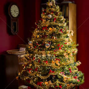 Merry Christmas To You by Karen Celella - Public Holidays Christmas