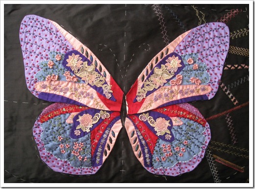 Butterfly Wing 12