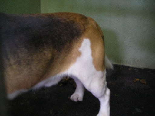 DSCN7691.JPG