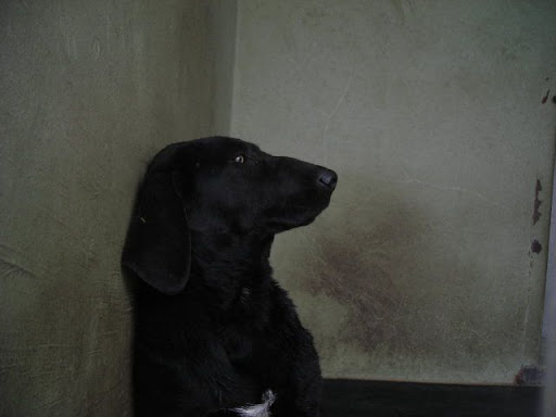 DSCN0969.JPG