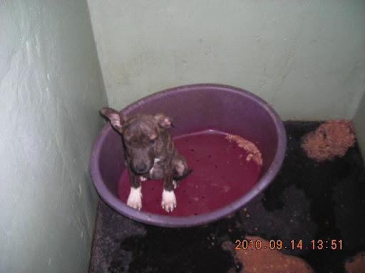 DSCN9540.JPG