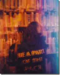 Holga 018