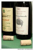 Česká vína