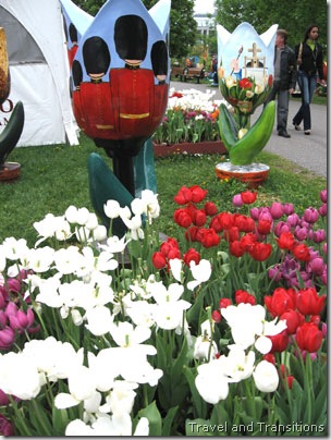 wood tulips