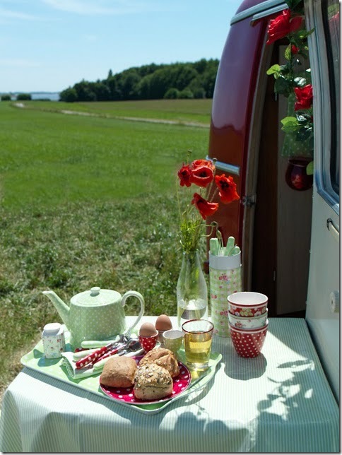 picnic red and green passion for decor
