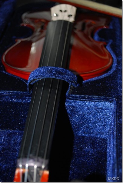 violin 8 neck