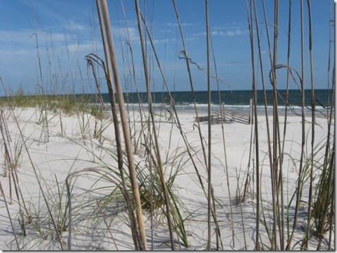 Beach Sand