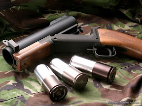 caw-m79so_1024.jpg