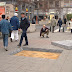 Pavement Chalk Artist The Three Dimensional Drawings Of Julian Beever