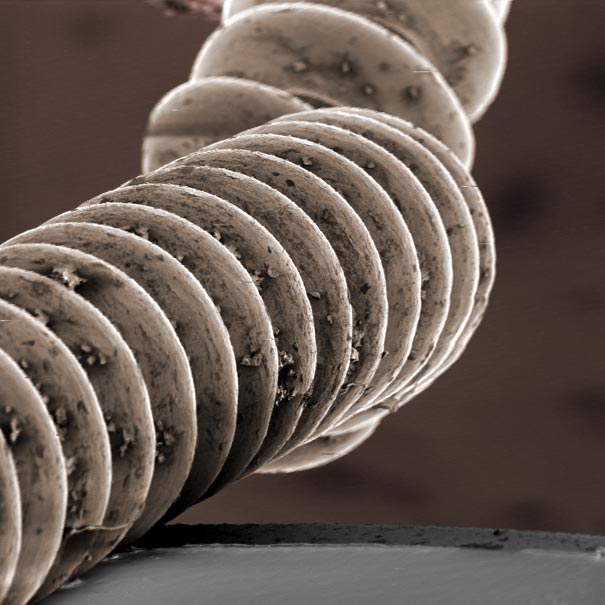  Looking-at-the-World-through-a-Microscope-guitar-string.jpg