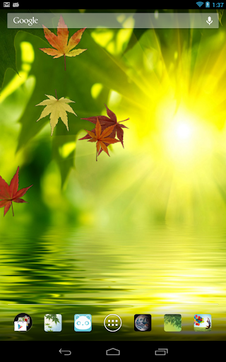 Fallen Leaves Ripple LWP