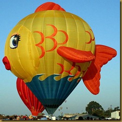 creative-air-balloons19
