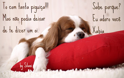 cachorro-363.jpg
