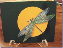 Holly's Dragonfly
