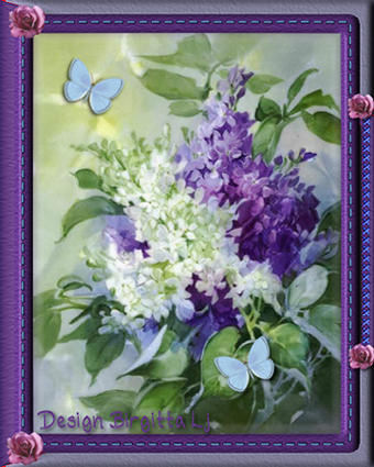 Spring_Frame.jpg