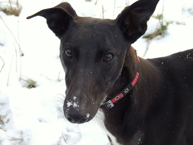 DSCF4376.JPG