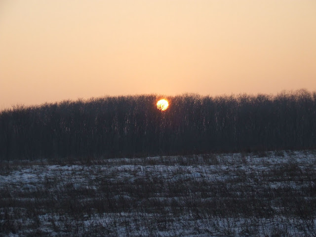 DSCF4610.JPG