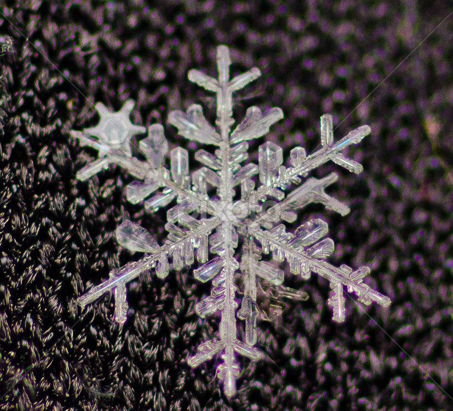 Artificial Snowflakes in Snow Close-up Stock Photo - Image of