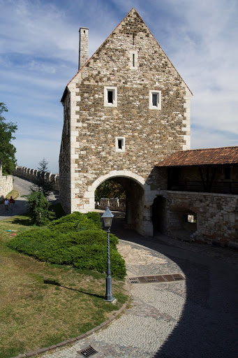 IMG_8278.jpg