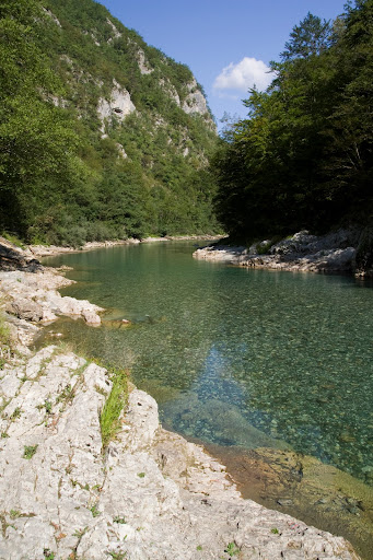 IMG_8479.jpg