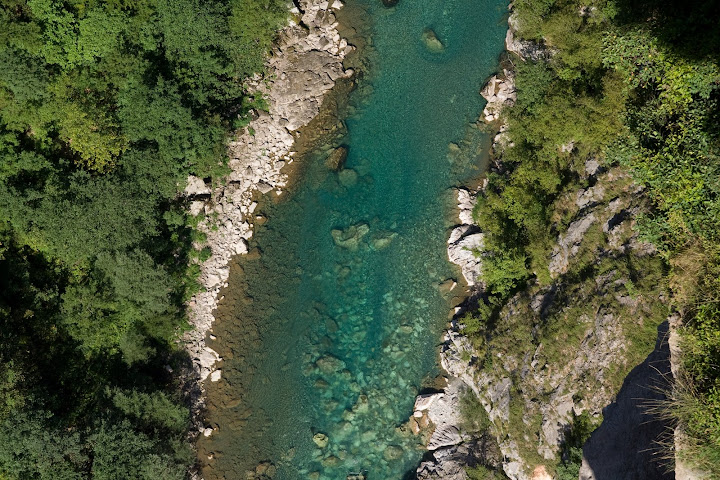 IMG_8522.jpg