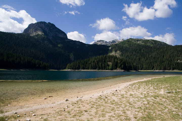 IMG_8569.jpg