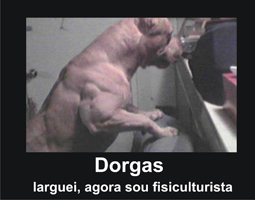 dorgas%202.jpg
