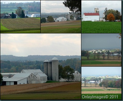 farms collage102510