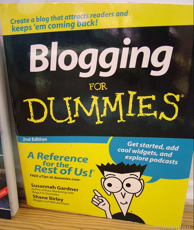 [blogging dummies bk[10].jpg]
