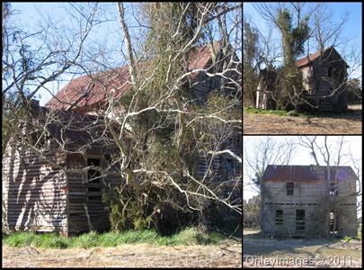 old house collage1