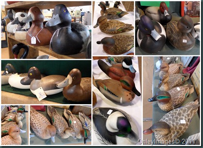 ducks in row collage0411