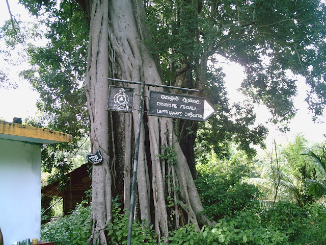 PICT0001.JPG