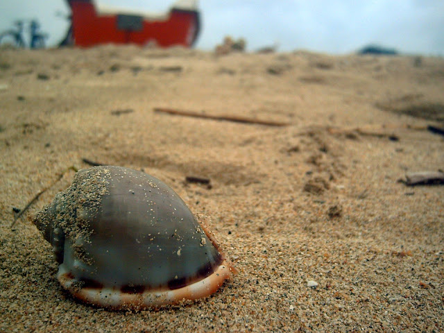 PICT0195.JPG