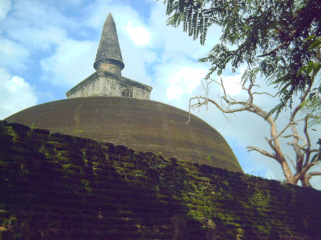 PICT0409.JPG
