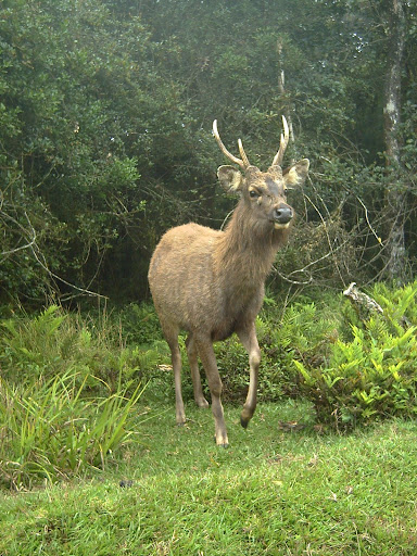 PICT0849.JPG